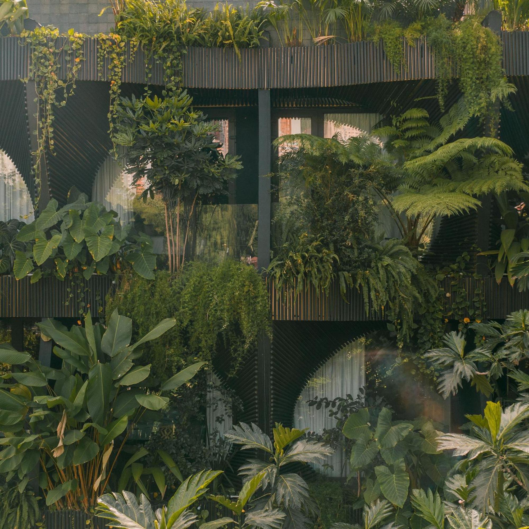 Selvario 36 Hotel Medellín Eksteriør bilde